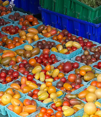 Tráidire Bia Plaisteacha